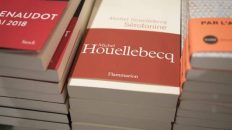 La sérotonine est une molécule,, c'est aussi le titre du dernier roman de Michel Houellebecq