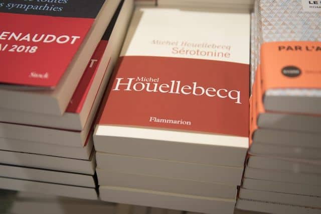 La sérotonine est une molécule,, c'est aussi le titre du dernier roman de Michel Houellebecq